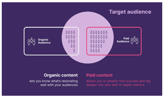 tiktok e woocommerce - integrazione