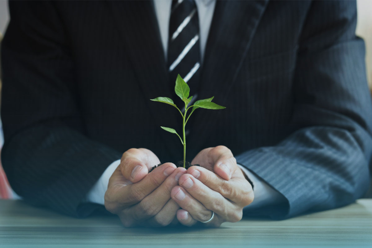 Valorizza la tracciabilita e la sostenibilita